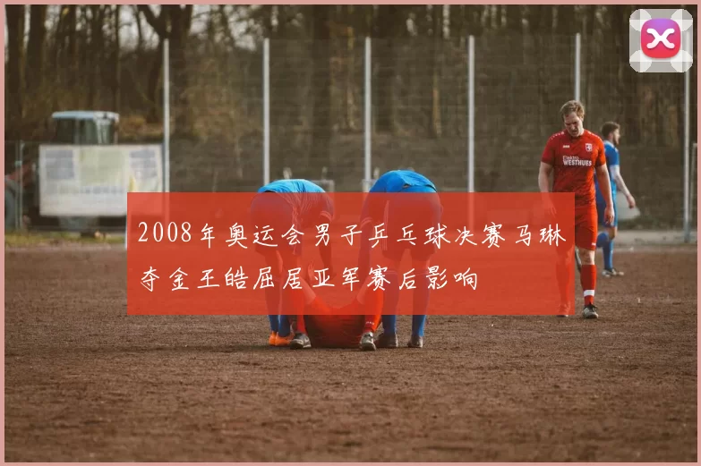 2008年奥运会男子乒乓球决赛马琳夺金王皓屈居亚军赛后影响