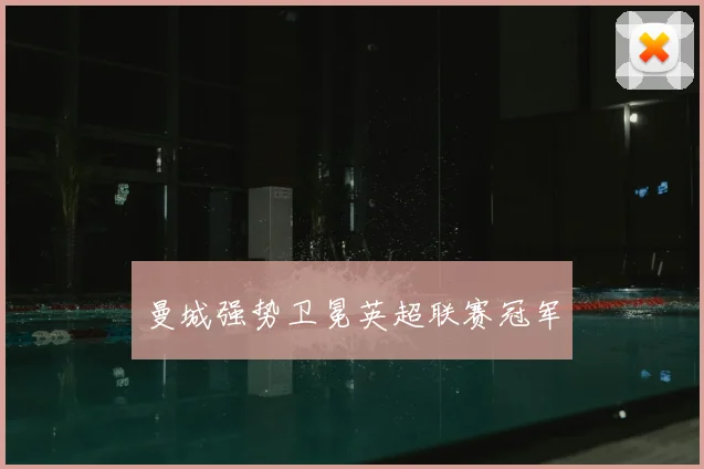 曼城强势卫冕英超联赛冠军