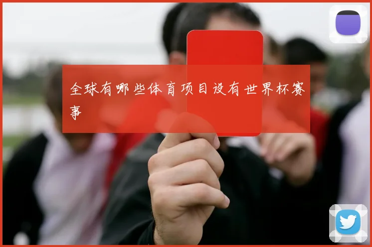 全球有哪些体育项目设有世界杯赛事