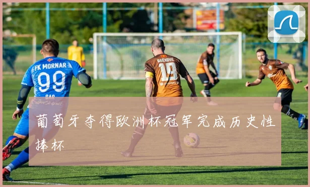 葡萄牙夺得欧洲杯冠军完成历史性捧杯
